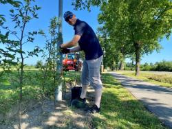 07-05-2022-Herrichten Festplatz und Vogelstange004