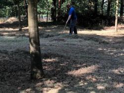 07-06-2019-Vogelstangengelände gereinigt (1)